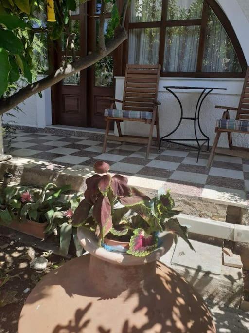 Danae's House Poros Town